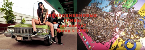 тгк Вязники